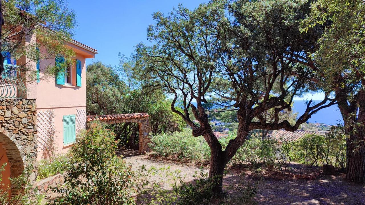 Villa Les Trois Chenes, Piscine Privee & Vue Mer Sur Golfe De Saint Tropez Les Issambres Buitenkant foto